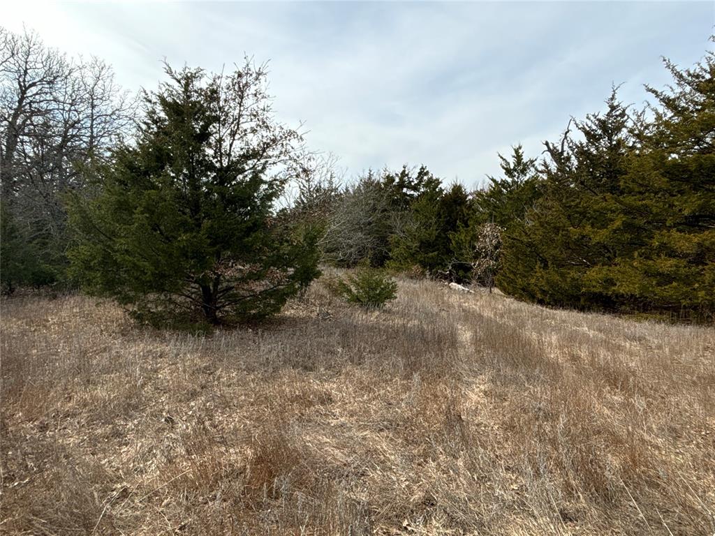 160 Acres Patterson & Skelly Road Property Photo 40