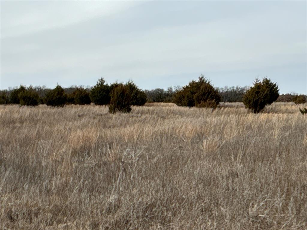 160 Acres Patterson & Skelly Road Property Photo 41