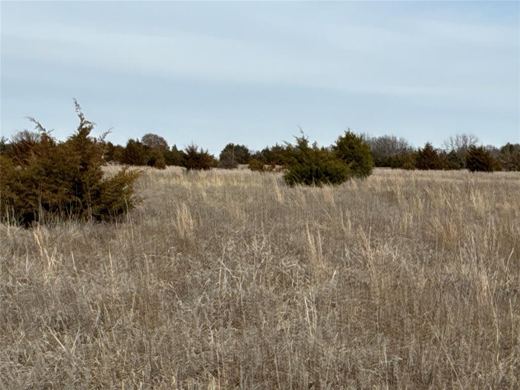 160 Acres Patterson & Skelly Road Property Photo 42