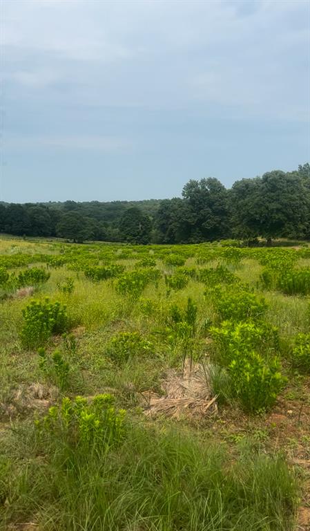 N Pottawatomie Road Property Photo 12