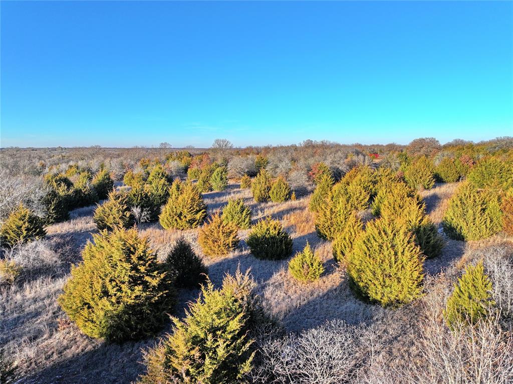 E 980 Road Property Photo 6