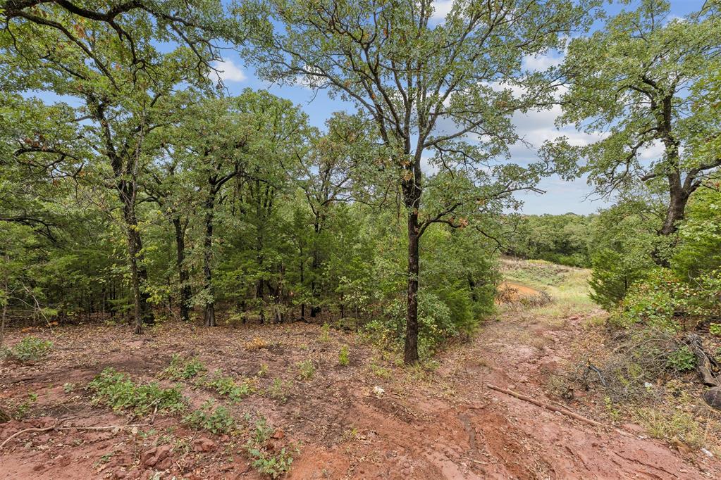 11917 Venando Court Property Photo 49