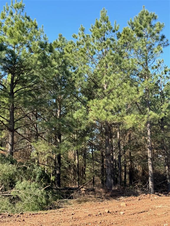 Lukfata Fork Trail Property Photo 3