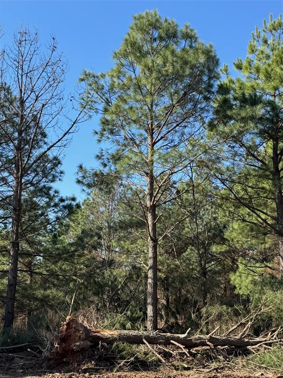 Lukfata Fork Trail Property Photo 5