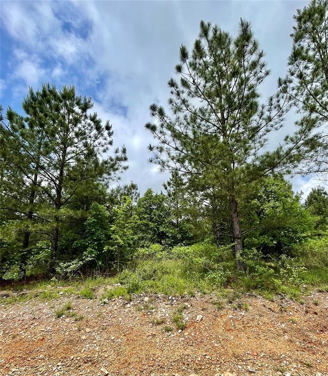 682 Timber Creek Trails South Xi Property Photo 1
