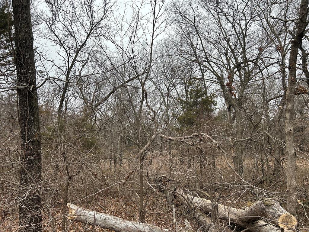Ne 150th Street Property Photo 3