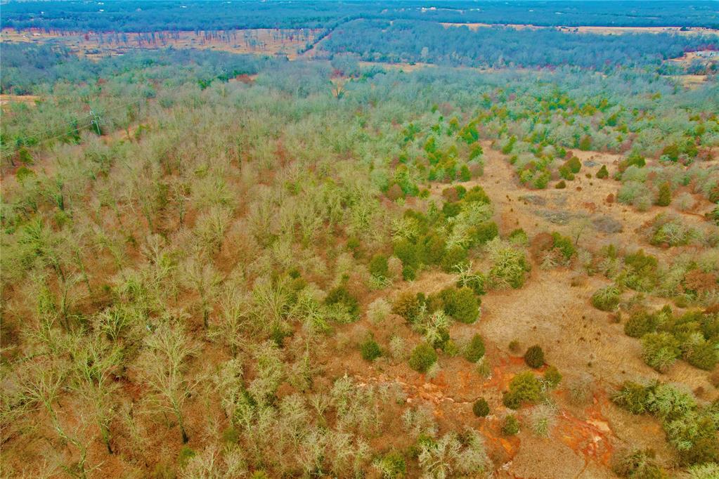 000 Southern Trails Road Property Photo 4