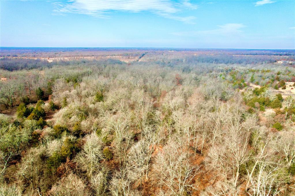 000 Southern Trails Road Property Photo 9