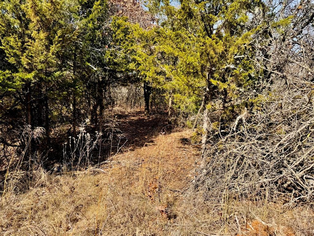 000 Southern Trails Road Property Photo 13