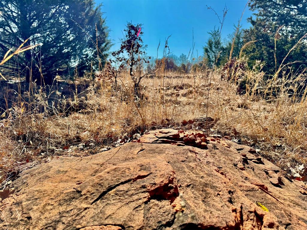 000 Southern Trails Road Property Photo 19