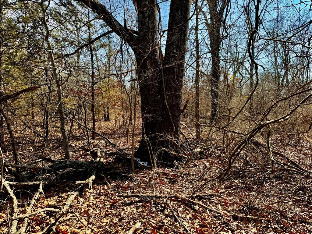 000 Southern Trails Road Property Photo 23