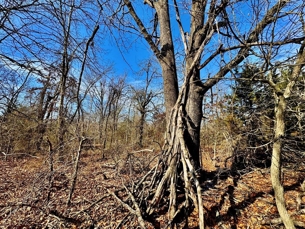 000 Southern Trails Road Property Photo 24