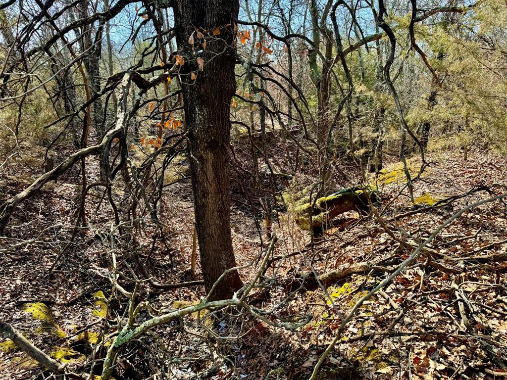 000 Southern Trails Road Property Photo 25