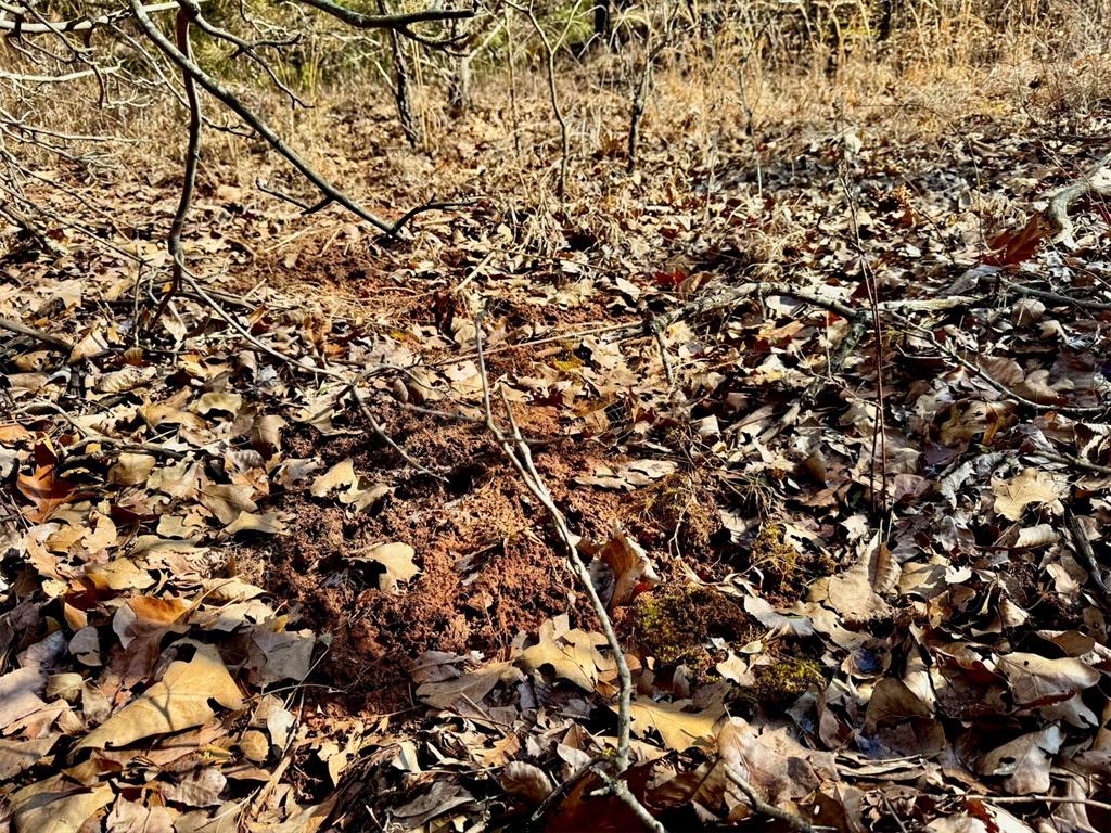 000 Southern Trails Road Property Photo 27