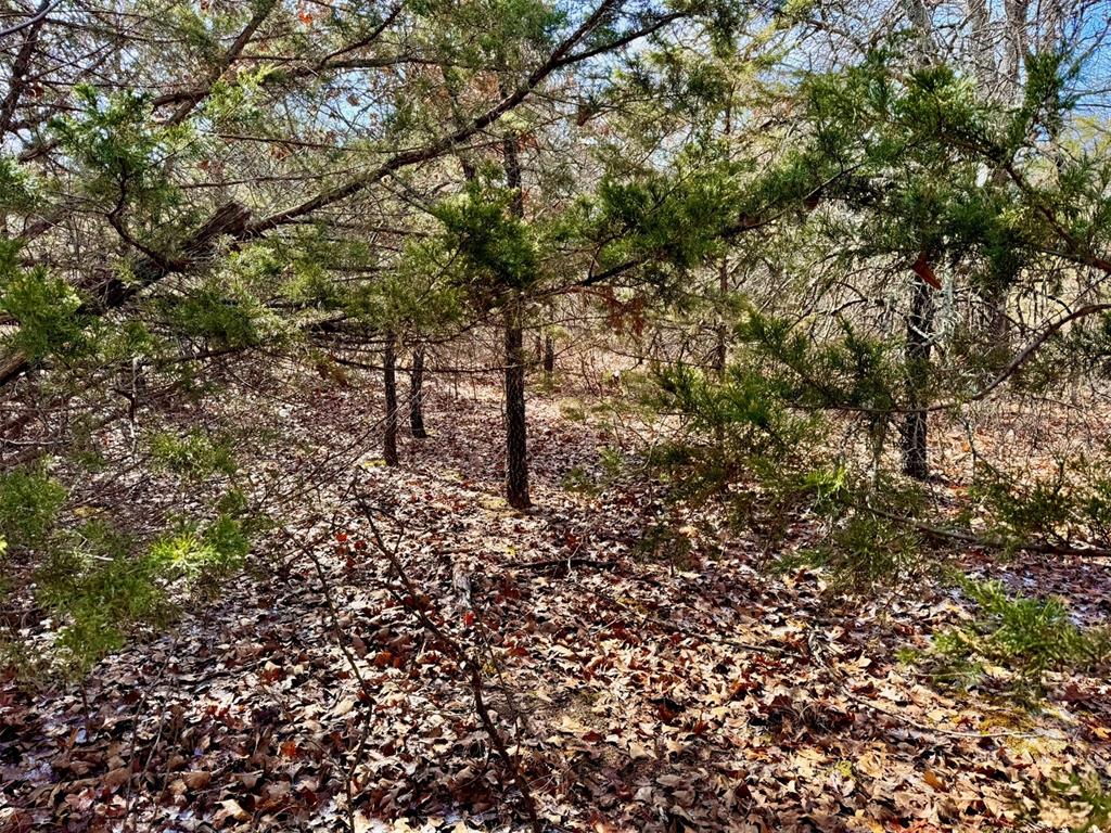 000 Southern Trails Road Property Photo 28