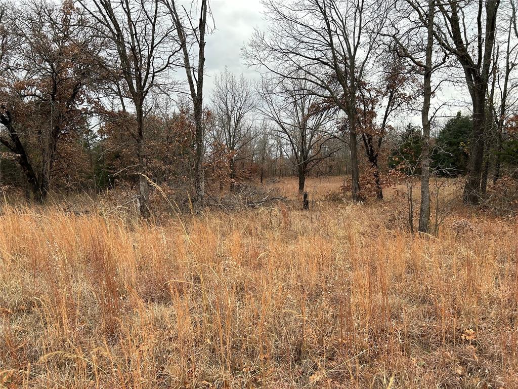 117 Silverwood Lane Property Photo