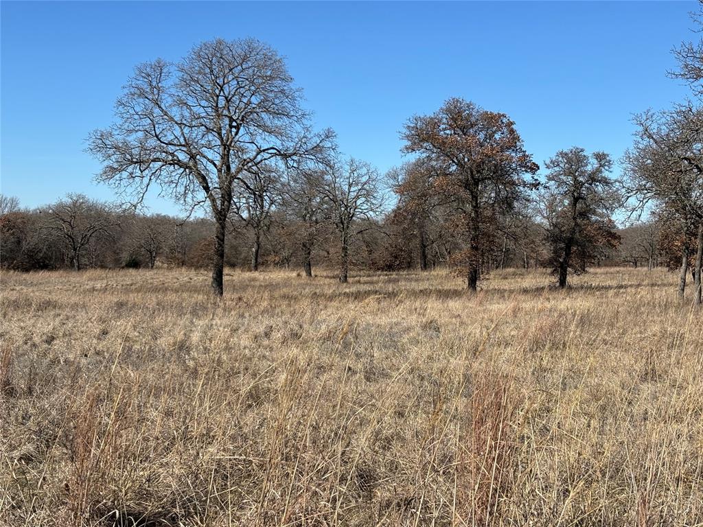 24377 E County Road 1700 Property Photo 11
