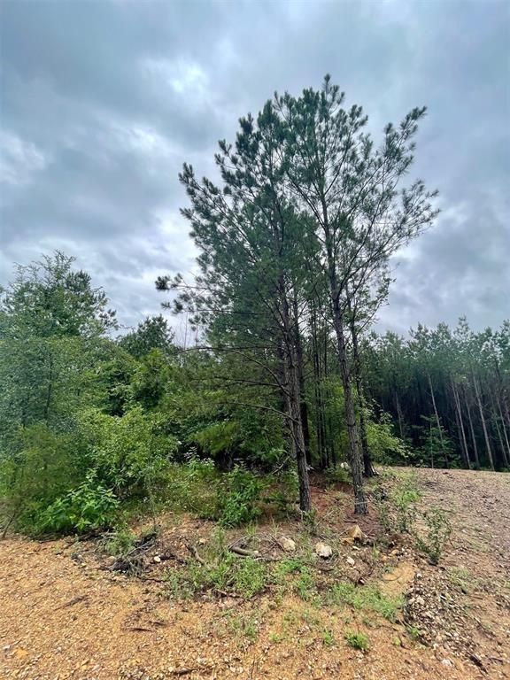 Cedar Hills Lakes J Property Photo 1