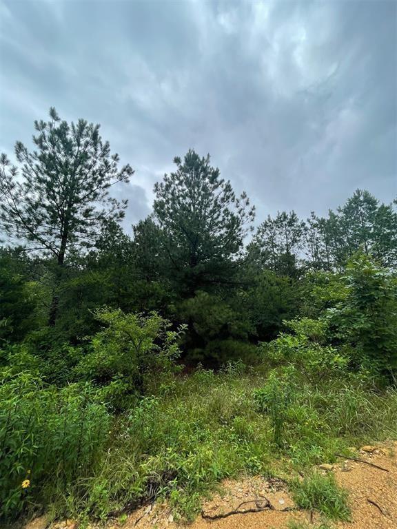 Cedar Hills Lakes J Property Photo 2
