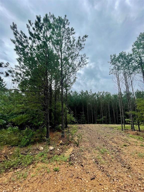 Cedar Hills Lakes J Property Photo 3