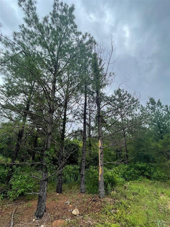 Cedar Hills Lakes J Property Photo 4