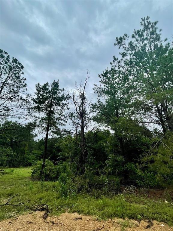 Cedar Hills Lakes J Property Photo 5
