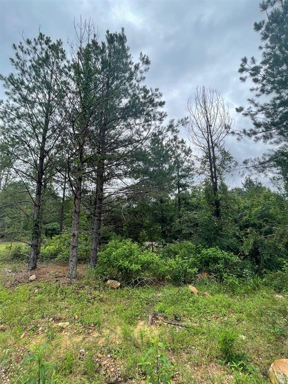 Cedar Hills Lakes J Property Photo 6