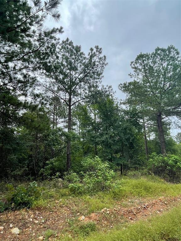 Cedar Hills Lakes J Property Photo 7