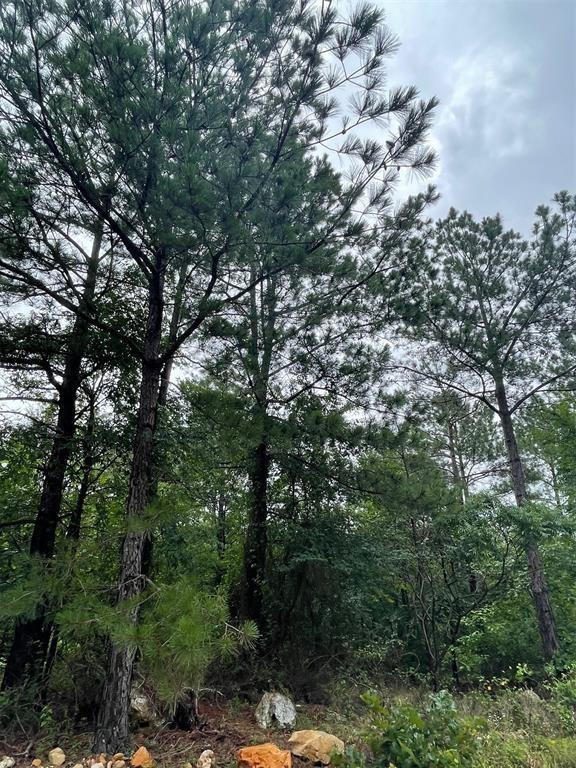 Cedar Hills Lakes J Property Photo 8