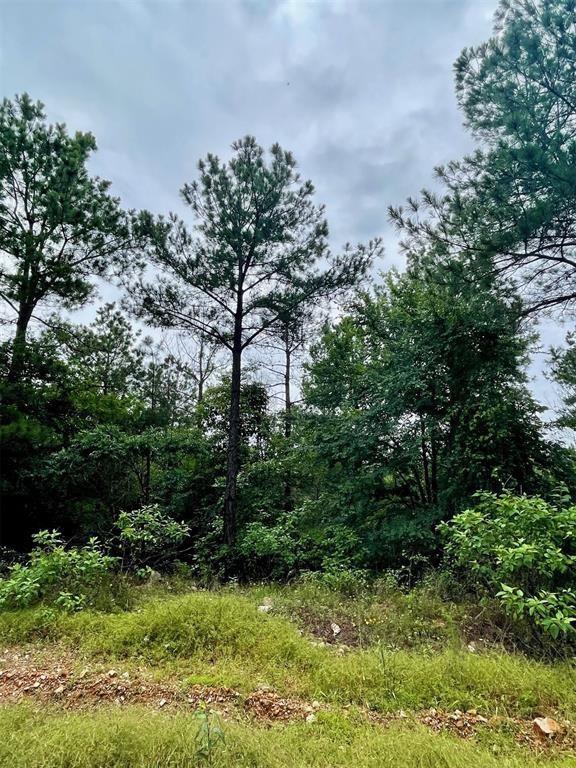 Cedar Hills Lakes J Property Photo 10
