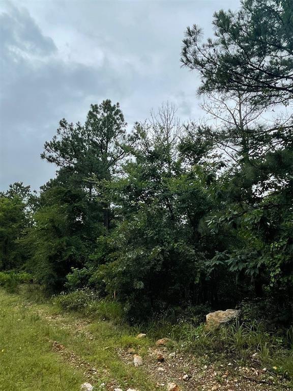 Cedar Hills Lakes J Property Photo 11