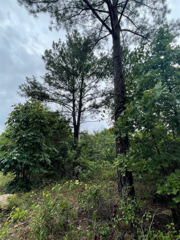 Cedar Hills Lakes J Property Photo 12