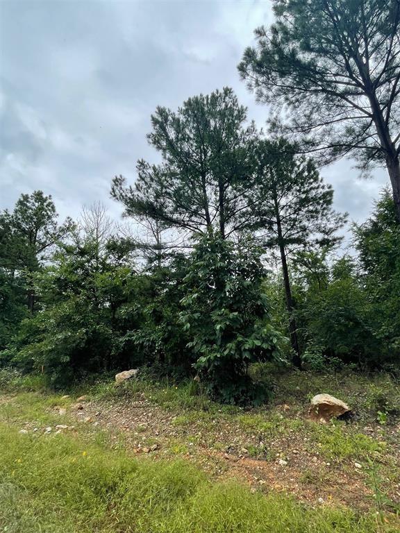 Cedar Hills Lakes J Property Photo 13
