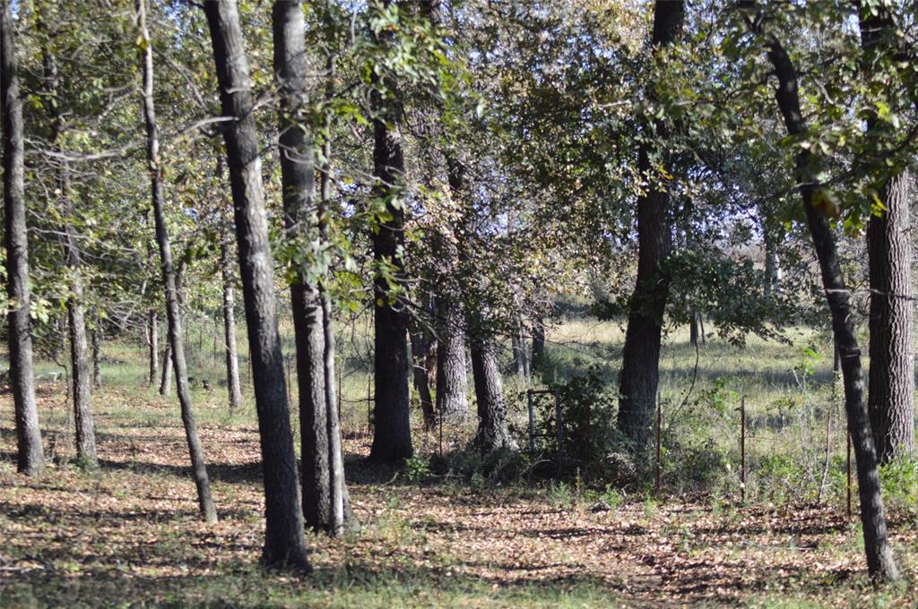 11323 East Franklin Road Property Photo 9
