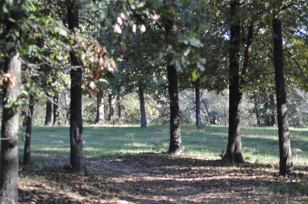 11323 East Franklin Road Property Photo 10