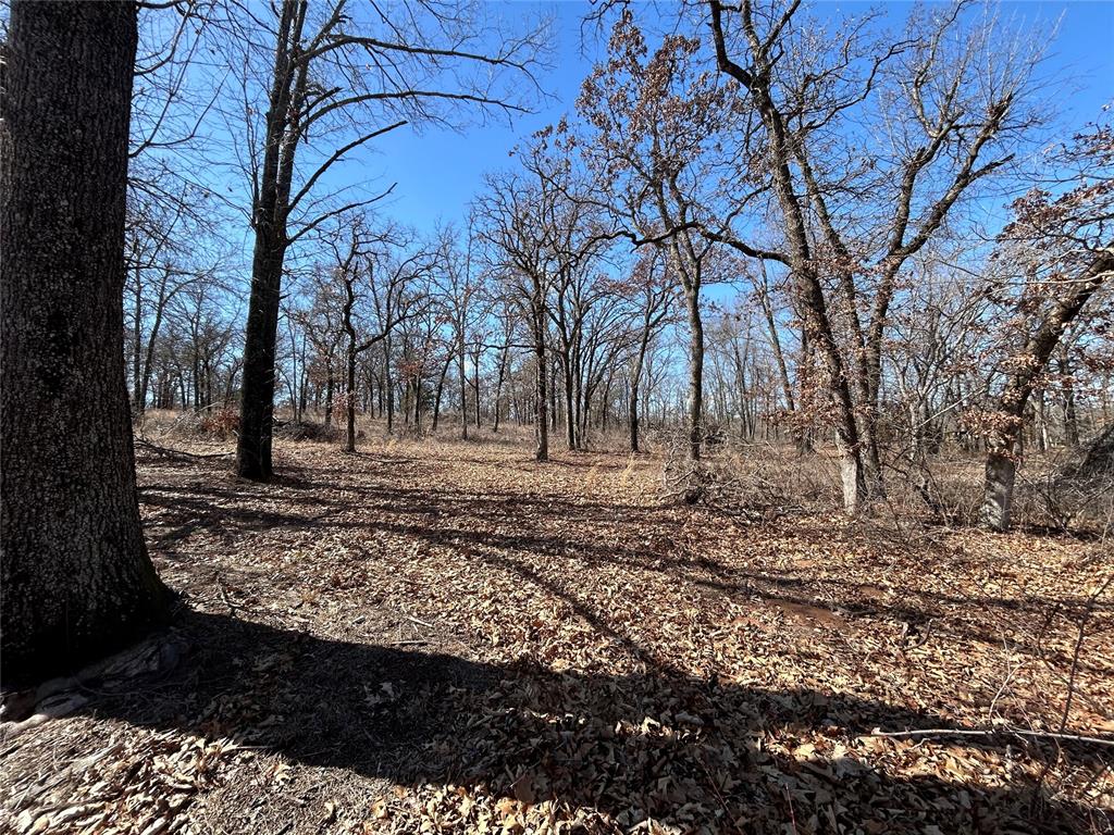 16005 Oakside Drive Property Photo 17