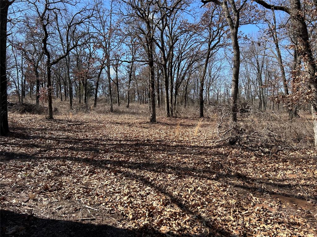 16005 Oakside Drive Property Photo 19