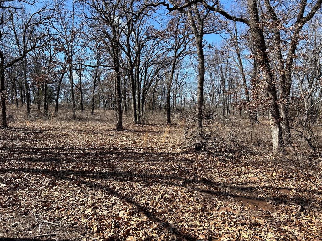 16005 Oakside Drive Property Photo 20