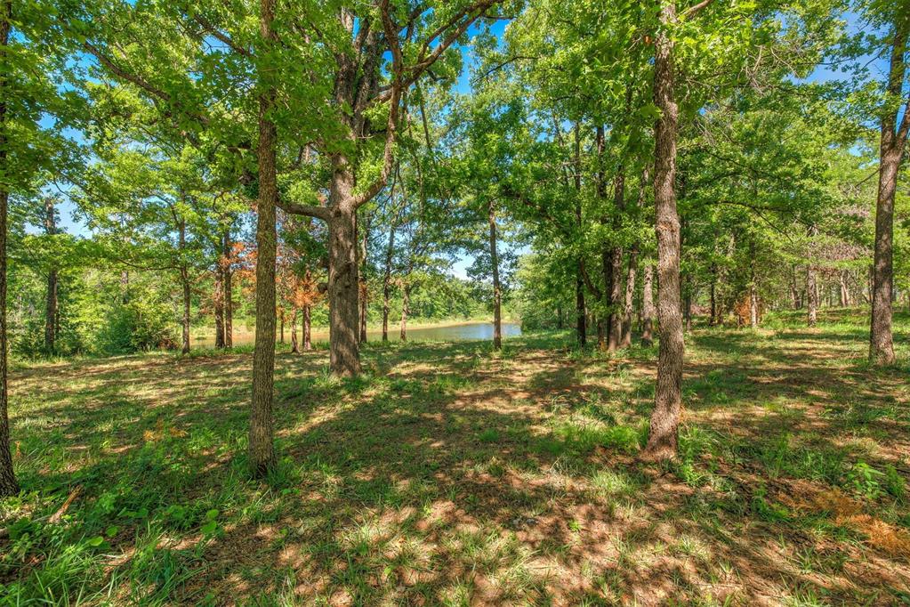 9162 Creek View Road Property Photo 10