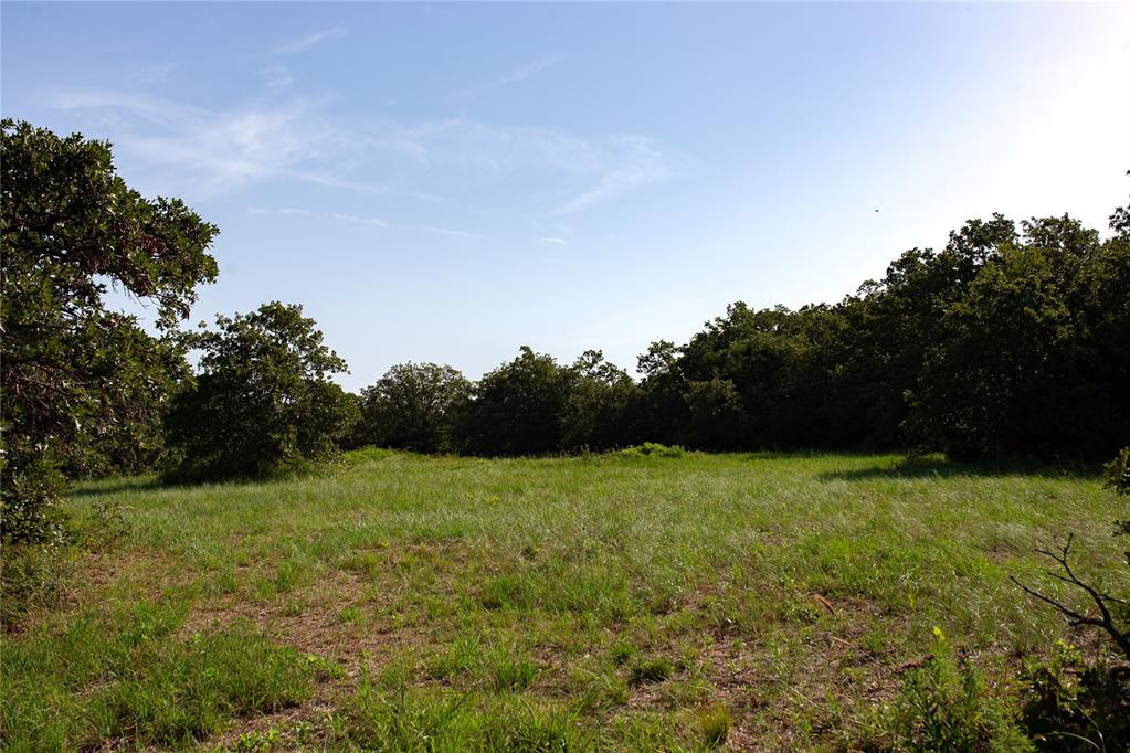 9532 Creek View Road Property Photo 6