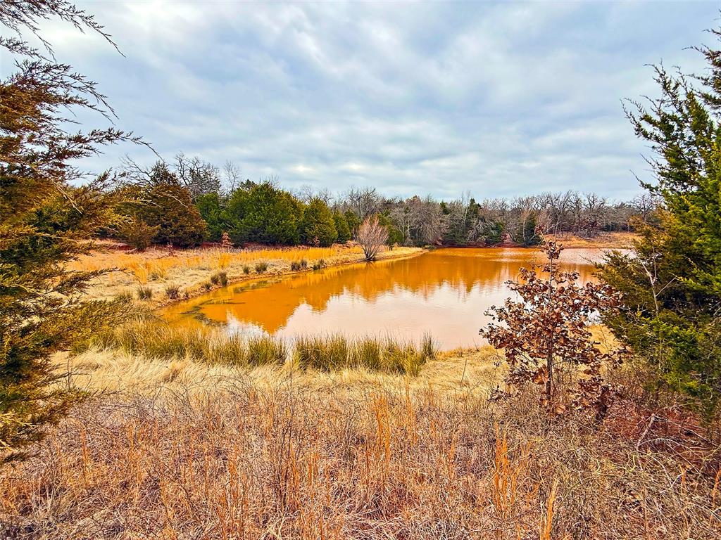 12724 S Peebly Road Tract1b Property Photo 11