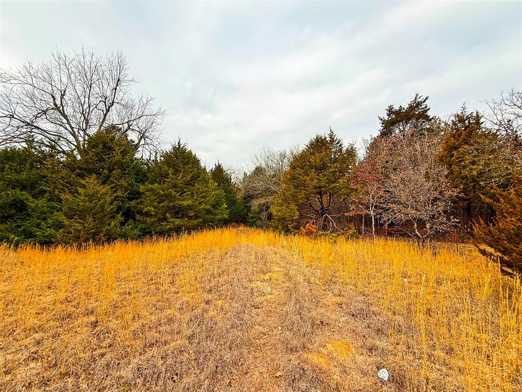 12724 S Peebly Road Tract1b Property Photo 17