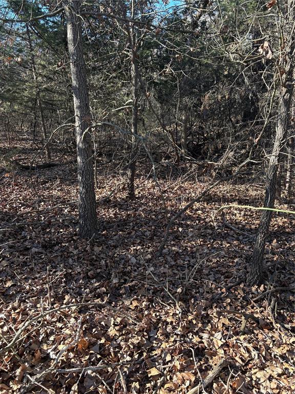 E 935 Road Property Photo 3