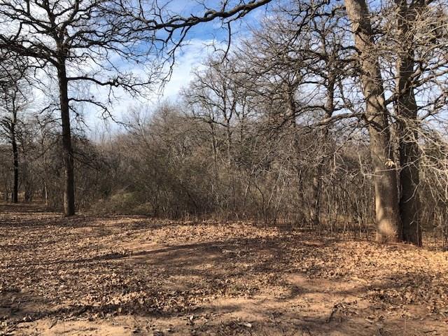 000 Redbud Creek Circle Property Photo 2