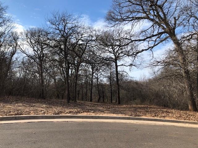 000 Redbud Creek Circle Property Photo 3