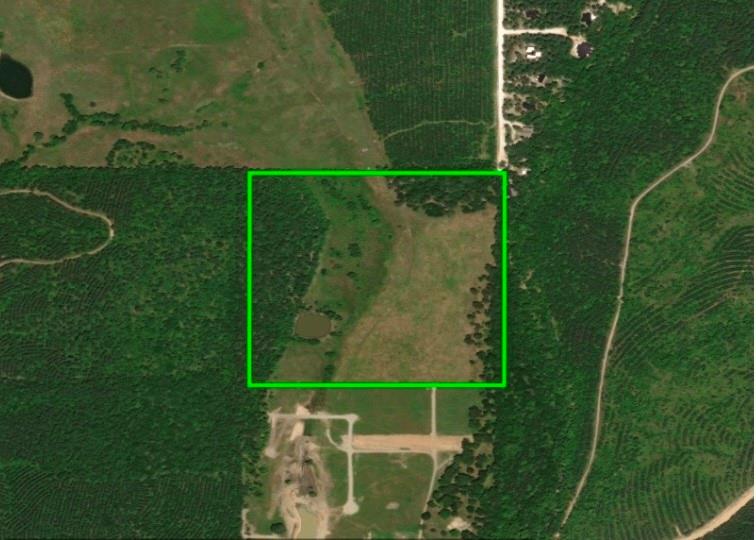 Rutty Pine Ridge Property Photo 2