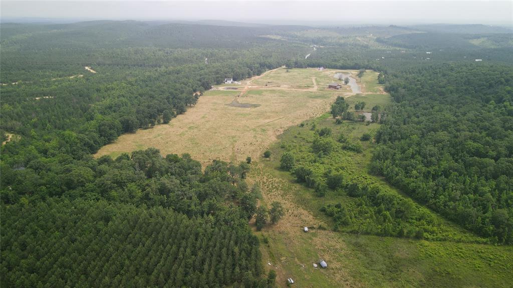 Rutty Pine Ridge Property Photo 4
