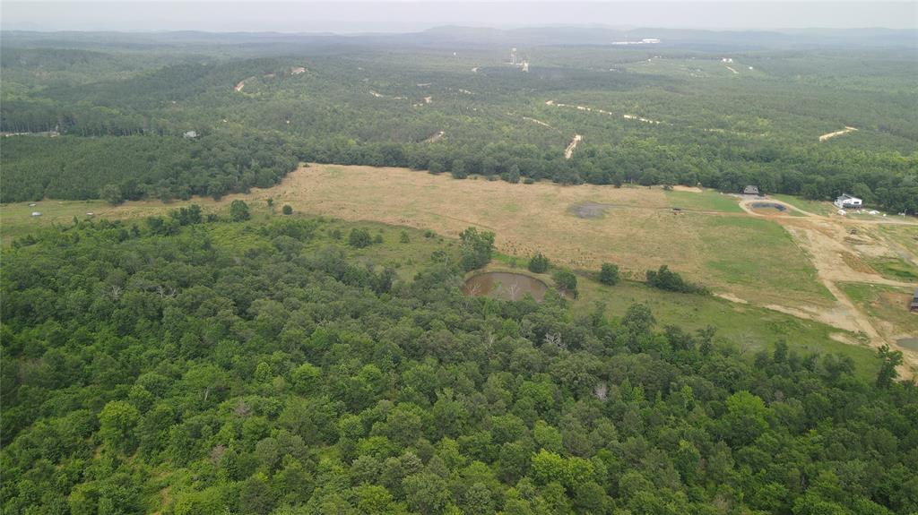 Rutty Pine Ridge Property Photo 5