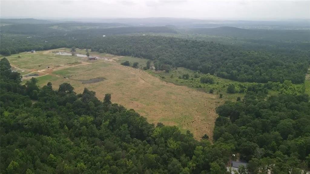 Rutty Pine Ridge Property Photo 6