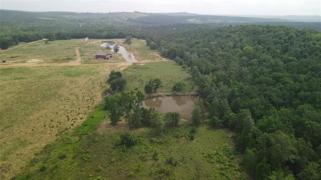 Rutty Pine Ridge Property Photo 7